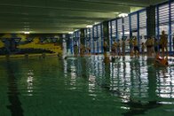 PK3_8573.jpg