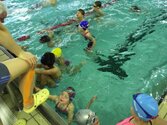 IMG_2535.jpg