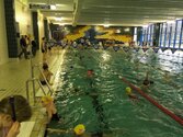IMG_2536.jpg