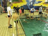 IMG_2537.jpg