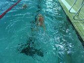 IMG_2548.jpg