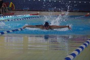 PK3_5206.JPG