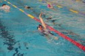 PK3_5462.JPG