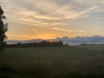 IMG_4713.JPG