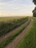 IMG_4715.JPG