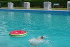 PK3_6605.JPG