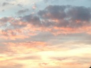 IMG_9384.JPG