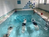 IMG_6564.JPG